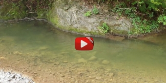 |VIDEO| Poribljavanje sliva Kru&scaron;čice