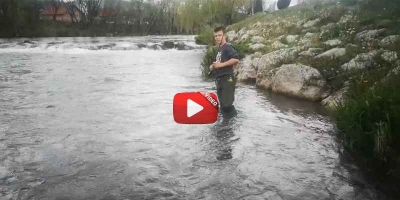 Novi nara&scaron;taj Toma Bajo