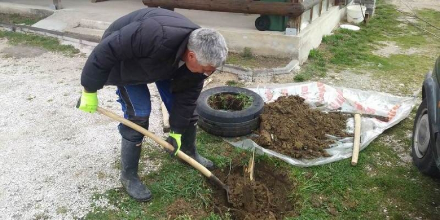 Uređenje okoli&scaron;a 2019.