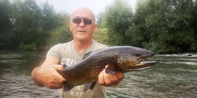 Trofejna potočna pastrmka