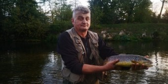 Joja i potočara