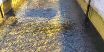|VIDEO| Stanje u vanjskom bazenu