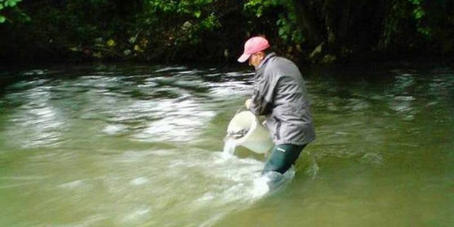 Prvo poribljavanje 2009.
