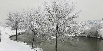 Mu&scaron;ičarska staza zima 2017.