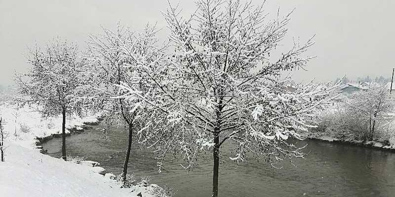 Mu&scaron;ičarska staza zima 2017.