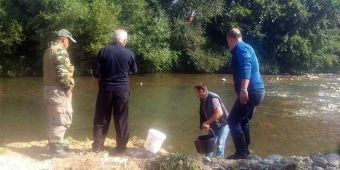 Poribljavanje mlađi potočare 2018.
