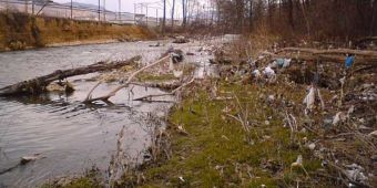 La&scaron;va poslije poplave 2010.