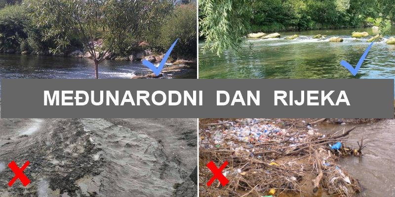 Međunarodni dan rijeka 2023.